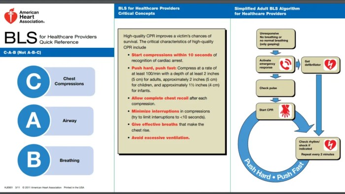 Bls instructor essentials exam a answers