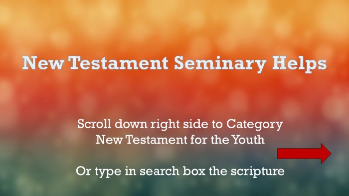 New testament seminary student manual