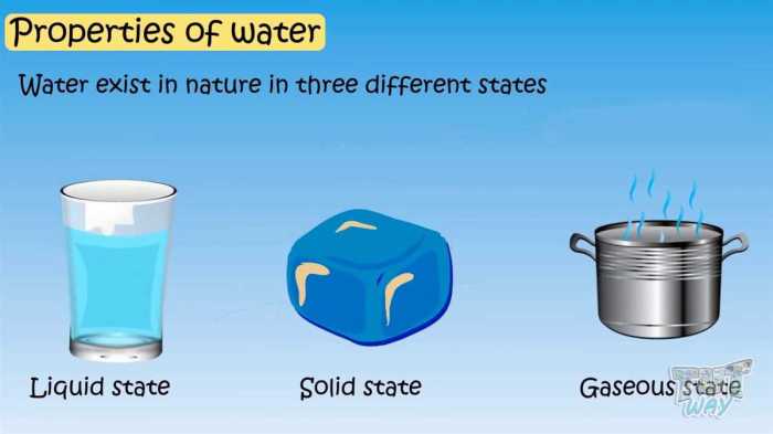 Properties of water webquest answer key