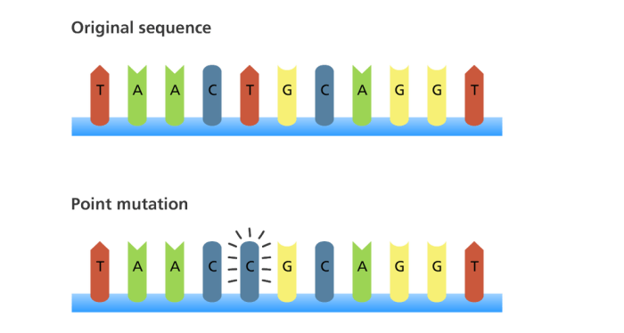 Mutations genetic