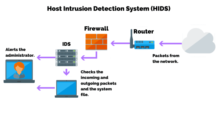 What is the difference between an hids and a firewall