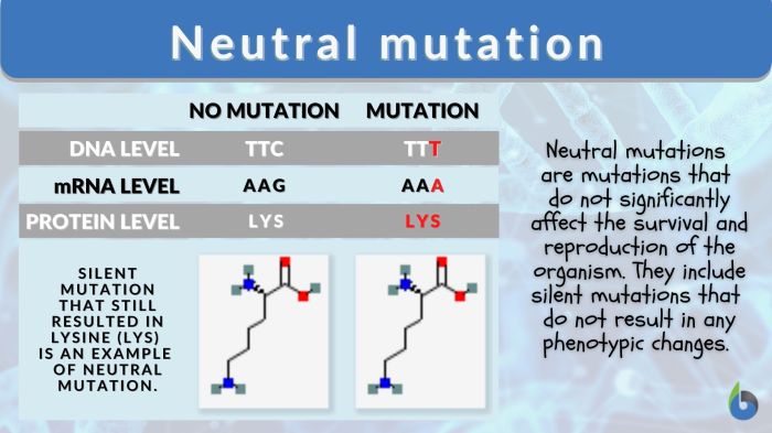 Which statements about mutations are true check all that apply