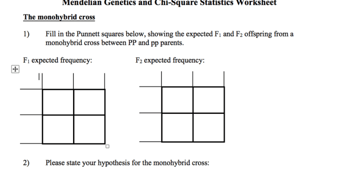 Mendelian genetics probability pedigrees and chi-square statistics answers